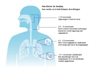 De effecten van fijnstof op de gezondheid.